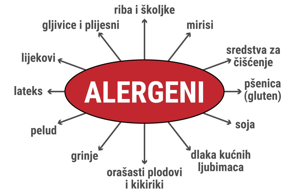 Popis najpoznatijih alergena