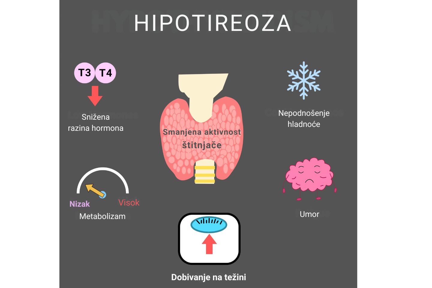 Ilustrativni prikaz simptoma hipotireoze (smanjene aktivnosti štitnjače).