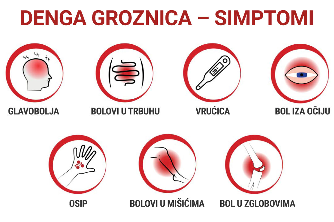Simptomi denga groznice