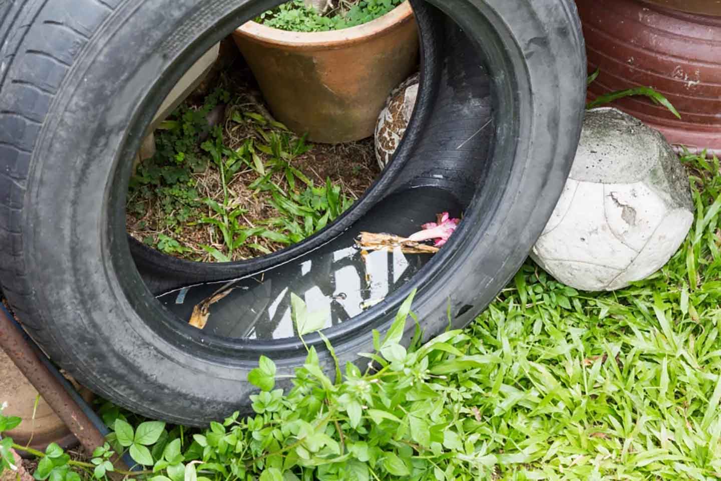 Odbačena automobilska guma s ustajalom vodom