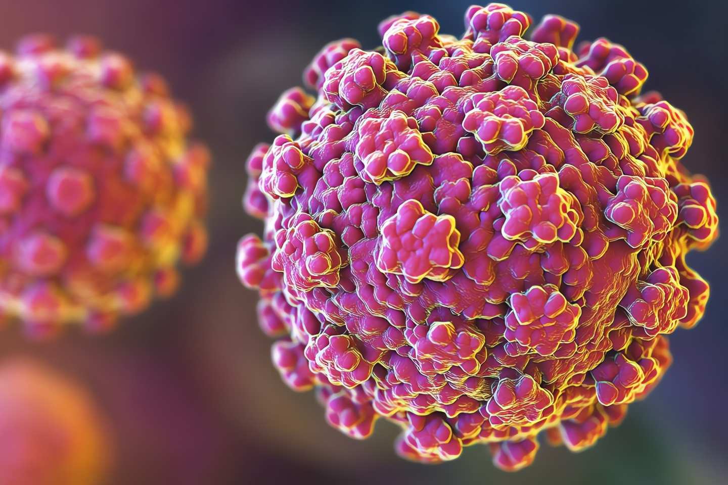3D ilustracija modela virusa hepatitisa A.