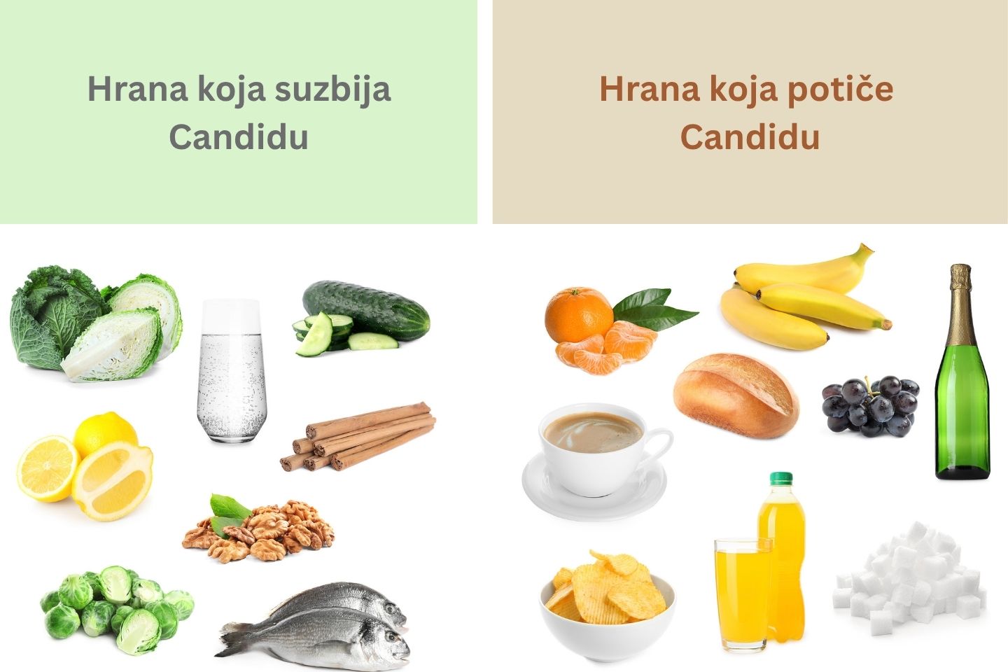 Shematski prikaz namirnica koje potiču i suzbijaju Candidu.