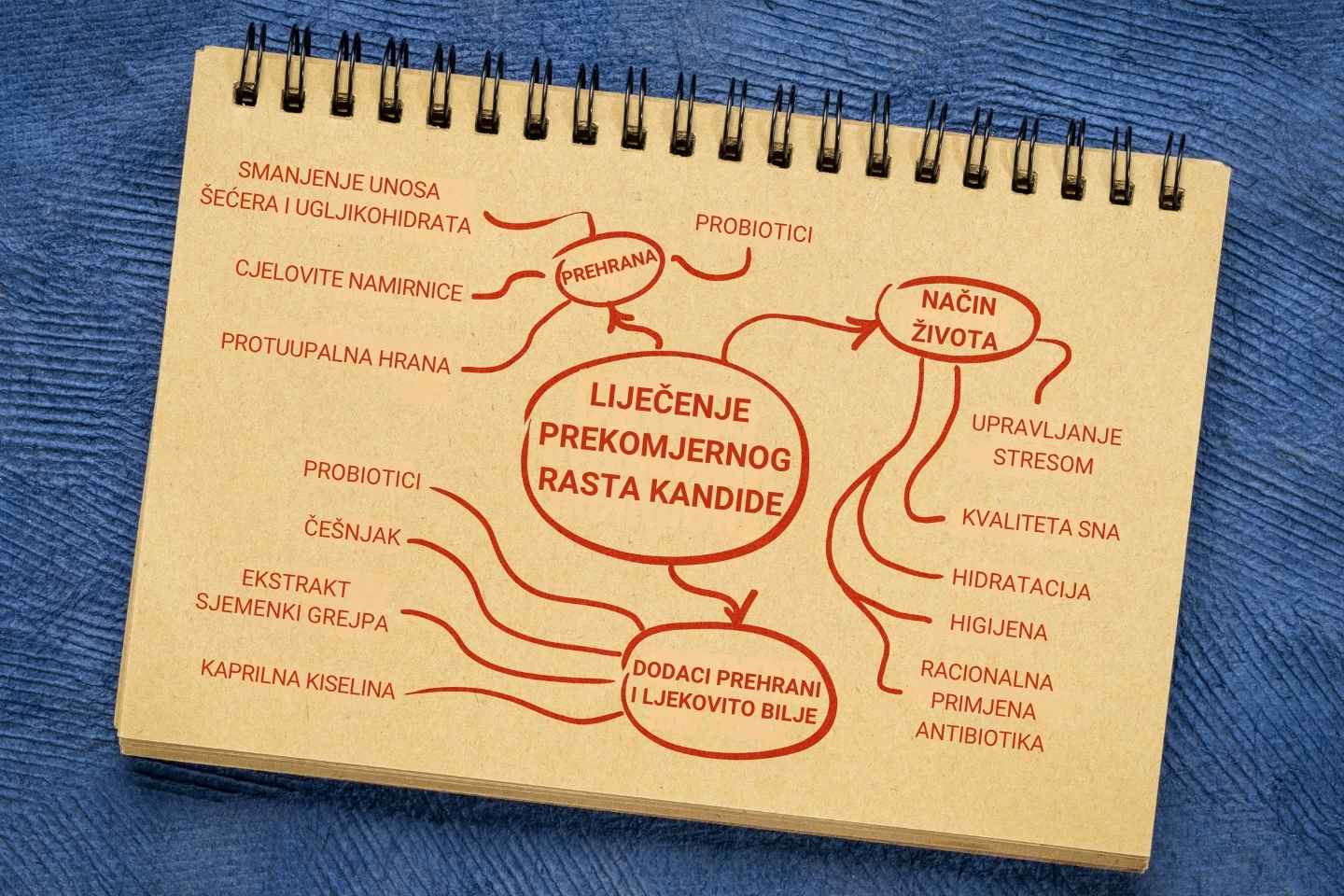 Infografika - skica mentalne mape na bilježnici - prikaz koncepta liječenja prekomjernog rasta kandide.