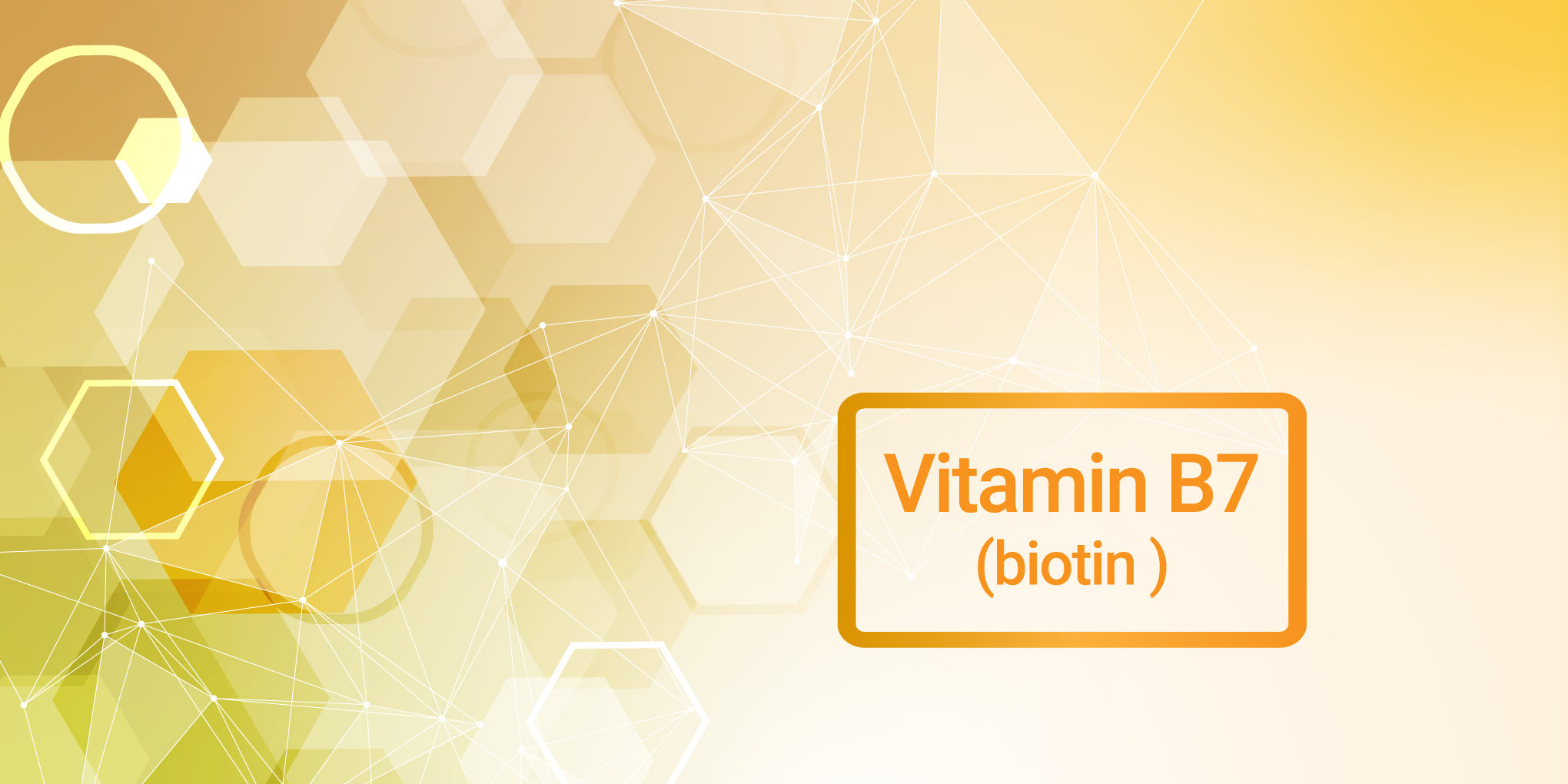 Biotin (vitamin B7, vitamin H)